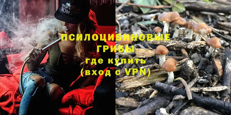 Галлюциногенные грибы Cubensis  Кстово 